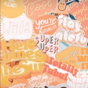 Meet your Posher, Annsley